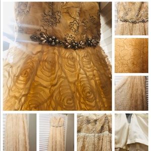 Adrianna Papell Size 12 Strapless Ball Gown